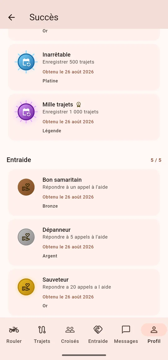 La liste des succès : ceux décrochés, ceux en cours avec leur barre de progression, rangés par famille.